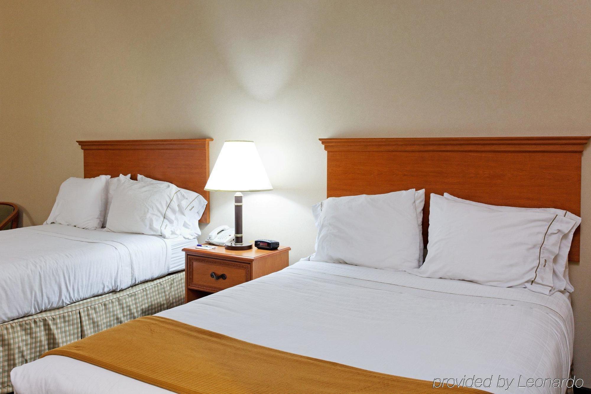Holiday Inn Express & Suites Sylacauga Pokoj fotografie